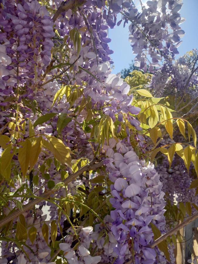 Lilac House Corfu (city) Exterior foto